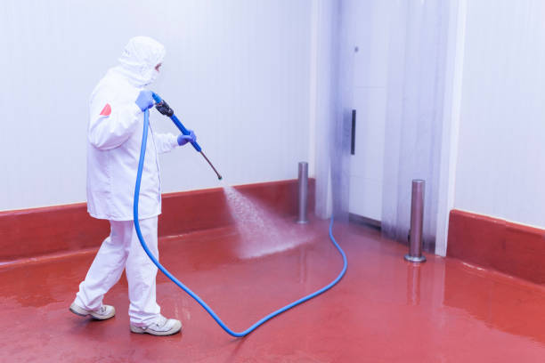 Best Building Exterior Washing  in Hammond, IN