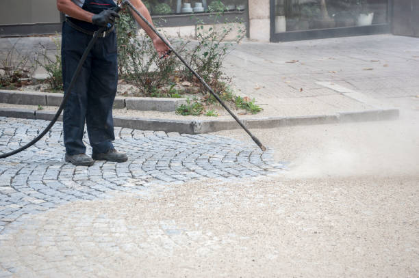 Best Dumpster Area Cleaning  in Hammond, IN